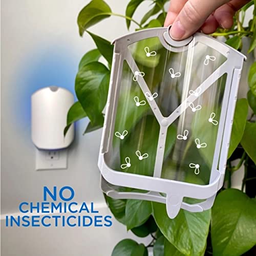 ZEVO Indoor Flying Insect Trap for Fruit Flies, Gnats, and House Flies