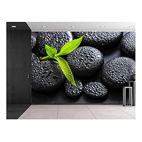 Rain Drops Over Black Rocks and a Little Green Plant - Wall Mural, Removable Sticker, Home Decor - 66x96 inches