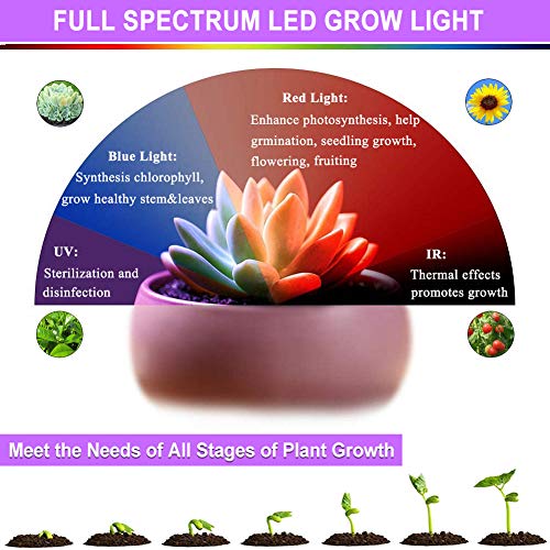 LED Grow Light Bulb, Full Spectrum Growing Lights for Indoor Plants, 20W E27 LED Plant Light Bulbs for Hydroponic Succulent Herbs Vegetable Flower Seed, Seedling, Indoor Gardening Greenhouse Grow Lamp