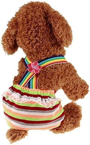 Axchongery Dog Diaper, Bitch Knickers Nappy Pet Heat Menstruation Diaper Sanitary Pants (Random, XXS)