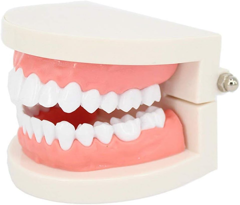 ROSENICE Modelo Dental Herramientas de dientes de enseñanza