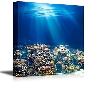 Canvas Wall Art - Coral Reef Under The Ocean/Sea | Modern Home Art Canvas Prints Gallery Wrap Giclee Printing & Ready to Hang - 12" x 12"