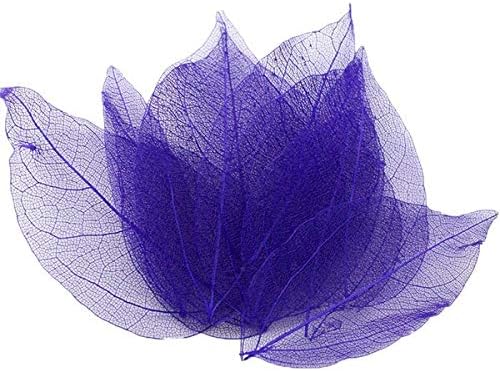 Cakewalkers 36pcs Approx 6.53cm Multicolor Natural Skeleton for for D05600911 Leaves Choose DIY