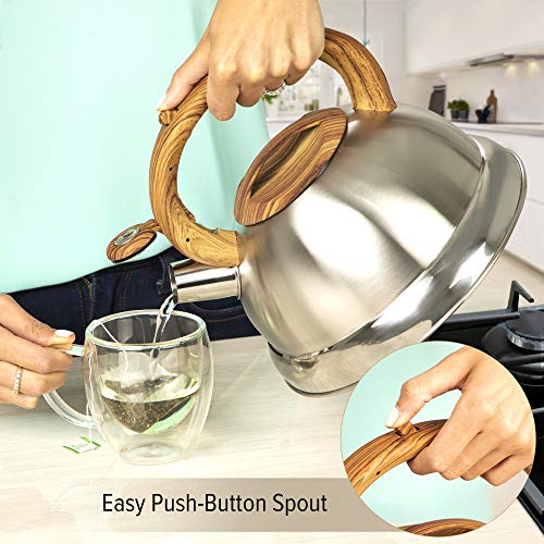 Whistling Tea Kettle with 5 Layer Bottom, 2.4 Quarts, Brushed Stainless Steel Modern, Polished