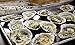 Loftin Oysters Ceramic Reusable Chargrilling, Cooking Oyster Shells, set of 12. Great for all Seafood.