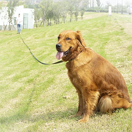 Dog Training Lead Long Dog Leash, Long Nylon Training Dog Leash for Pet Tracking Training Obedience Lead Leash Long Training Dog Leash Long Dog Recall Lead (10M/30FT)