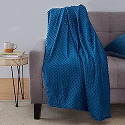 Amazon Basics Weighted Blanket with Minky Duvet