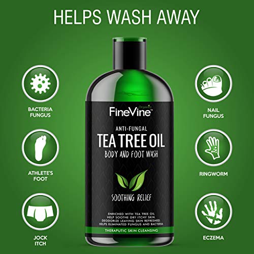 100% Natural Tea Tree Body Wash| Organic Tea Tree Oil Body Wash Made in USA| Cleansing Body Wash Fights off Jock Itch & Nail Fungus| Antifungal Body Wash Treats Athletes Foot, Ec-zema, Ring Worm, Odor