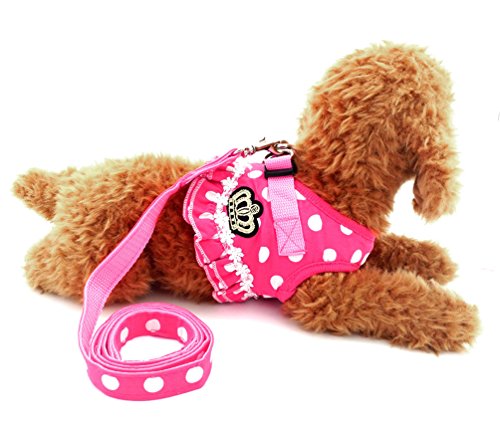 SMALLLEE_LUCKY_STORE Small Dog Cat Sweet Dots Pattern Vest Harness Leash Set Mesh Padded Lead Pink M