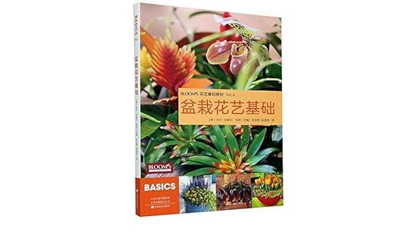 盆栽花艺基础 花艺基础教材 匿名 匿名 Amazon Com Books