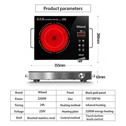 Portable Induction Cooktop induction stove Countertop Burner, 2200 W