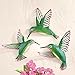 3d Hummingbird Wall Decor - Set Of 3, Green