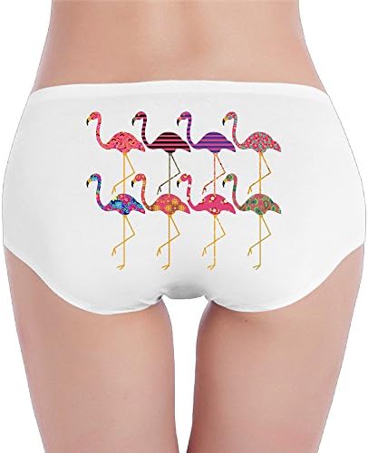 Fancy Flamingos Funny Womens Sheer Panties Underwear Comfort Low-Waist