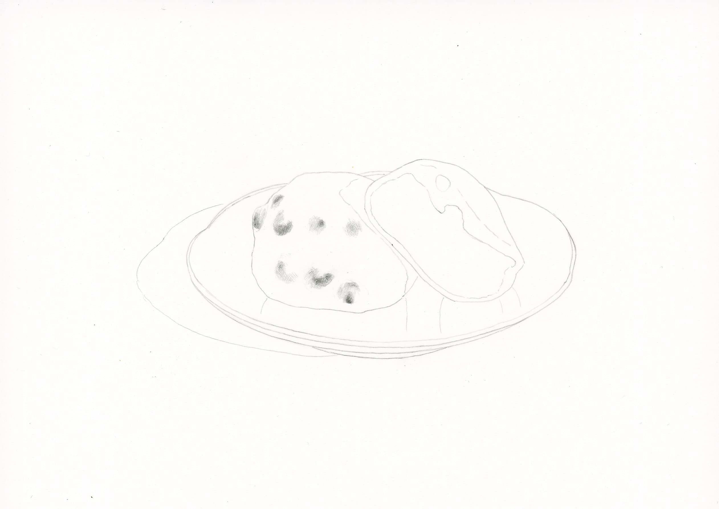 描こう! リアル色鉛筆 (3色から始める) 三上詩絵 本 通販 Amazon