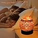 Himalayan Salt Lamp, Natural Crystal Salt Lamp Salt Chunks in Glass Bowl with Wood Base, Bulb and Dimmer Control for Christmas Gift and Home Decorations. [energy class a+++]