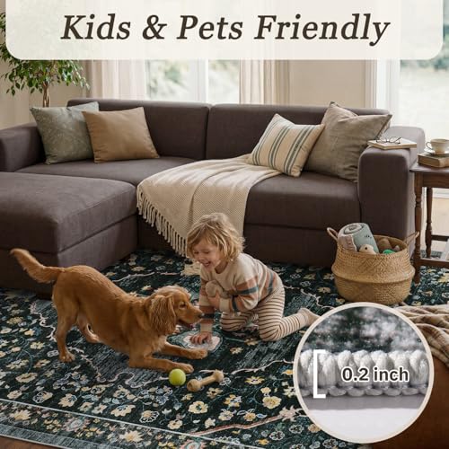 Retro Rugs for Living Room Area Rug-Carpet 5x7 Vintage Living Room Rugs for Bedrooms Dining Office Room Black