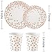 ALINK 150PCS Biodegradable Rose Gold Disposable Paper Plates Cups Set, 50 Dinner Plates, 50 Salad Plates,50 Paper Cups for Birthday Party, Wedding, Thanksgiving, Christmas, Bridal/Baby Shower Holiday