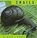 Snails (Animals)