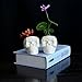 WISH HALLY WOOD Skull White Ceramic Succulent Planter Pots,Skull Pen Holder, Skull Makeup Brush Holder, Pen Holder, Set of 2 inch Tiny Flower Plant Containers (Skull)