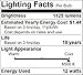 Miracle LED MAX, Replaces 100W Household Bulbs, Outperforms Floods in 9-20' Tall Ceilings, Cool White, 2 Pack (604720)