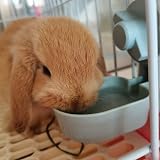 Oncpcare 17oz Rabbit Water Bottle Hanging Automatic Small Pet Dispenser view 7