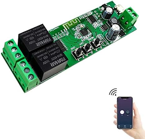 EACHEN Módulo de relé inteligente inalámbrico de 2 canales para mando a
