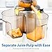 Flexzion Cold Press Juicer Machine - Masticating Juicer Slow Juice Extractor Maker Electric Juicing Vertical Stand for Fruit, Vegetable, Greens, Wheat Grass & More with Big Cup & Juicing Bowl