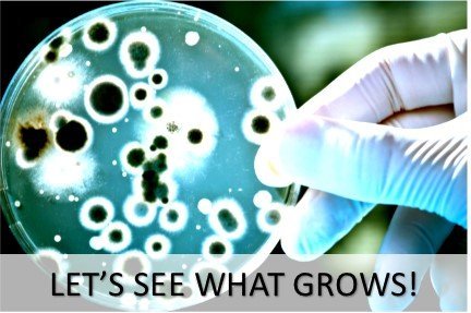 Starter Bacteria Growing Kit. NEW SCIENCE KIT. Pre-Poured Agar Plates (100mm Diameter) Swabs & Gloves. Perfect for Kids. Great For Learning About Microbiology. Free Project Guide eBook Available.