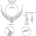 EVER FAITH Women's Crystal Gorgeous Floral Vine Bridal Necklace Earrings Set Clear Silver-Tone