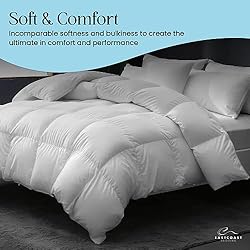East Coast Bedding Cozy Dream Goose Down and