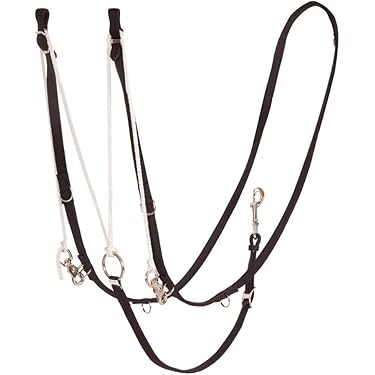 Riendas Web Con Hebillas, 5 Paradas, Tapón De Martingala