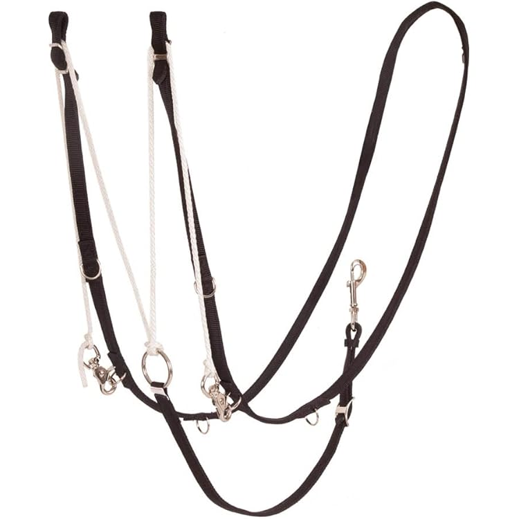 Wholesale Price Kincade  Market Harborough/German Martingale Fashion