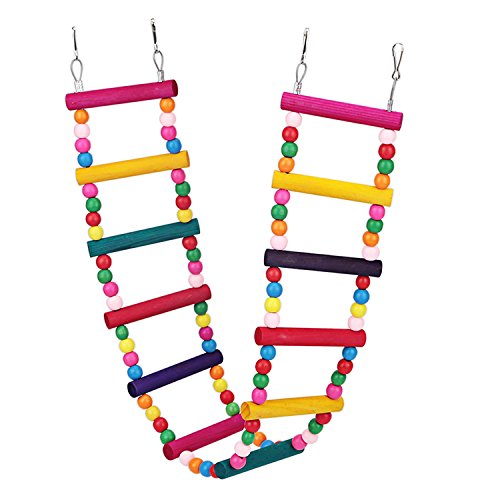 6 CocoGo+Flexible+Ladder+Colorful+Parrots