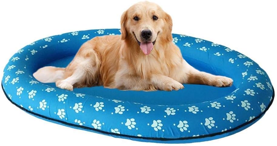arm floaties for dogs
