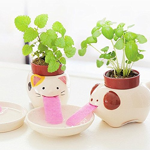 Techinal Cute Plant Pots Mini Plant Pots Buy Online In Jamaica At Desertcart