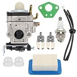Wellsking A021000811 Carburetor for Echo PB-755 PB-755H PB-755T PB-755SH PB-755ST PB-751 PB-751H for Shindaiwa EB-633RT Power Blower Replace Walbro WYK-192 WYK192 with Repower Tune-up kit