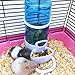 Debuy Automatic Small Animal Feeder Water Dispenser Feeding for Hamster Bird Parrots Pet Suppliesthumb 4