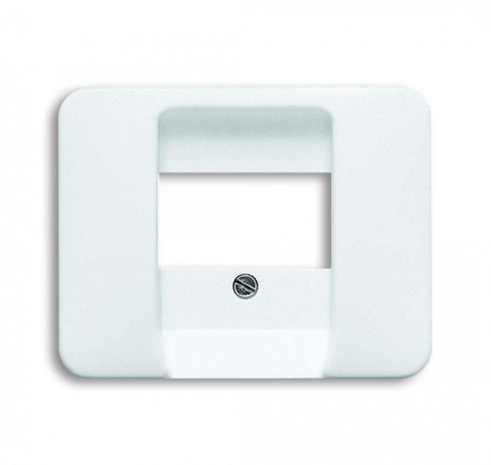 Busch-Jaeger 1766 Switch Fascia