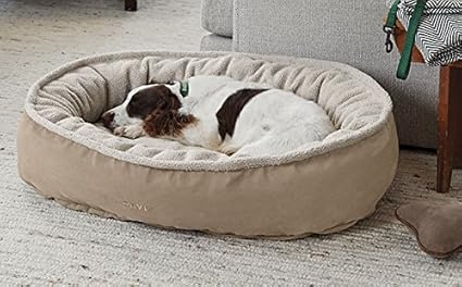 dog trainers pet transport