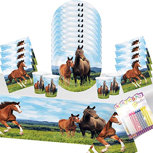 Horse and Pony Party Supplies Pack Serves-16: Dessert Plates, Beverage Napkins, Cups, and Table Cover with Birthday Candles: Deluxe (Bundle for 16)