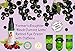 Farmer's Daughter Retinol Eye Cream with Caffeine (1 oz) Best Organic Anti Aging Eye Cream and Dark Circles Under Eye Treatment, Reduces Puffiness, Repairs Fine Lines, 100% Natural Skin Care Product