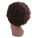 Miss Rola Synthetic Afro Curly Wig Soft Silk Kanekalon Fiber For Black Women Short Kinky Hair Natural Black Color 11