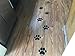 SecurePro Products - 16 Large Paw Prints Premium Quality Decal Stickers - Our Amazing Super Tac Adhesive Holds Strong; Easily Re-Position and Reuse, Easy to Remove, 5.25