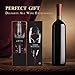 Larnn Wine Aerator Decanter Set Fast Aeration Kit Gift , Great Kitchen Tool for Home Use or Party