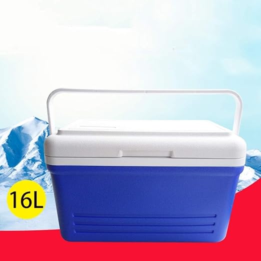 Ambiguity Nevera Camping,16L Refrigerador de vacunas de ...