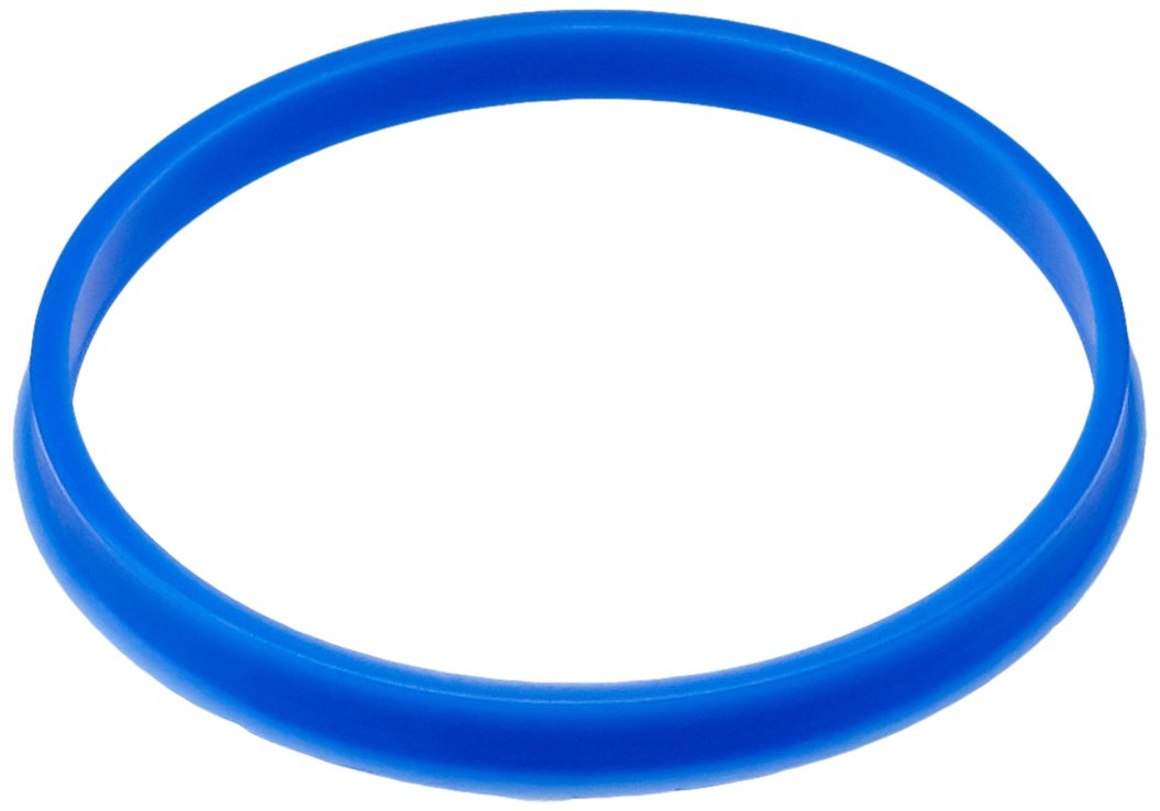 Neolab 45, E 1434 Pouring Ring Blue (Pack of 10)