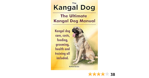 amazon dog price
