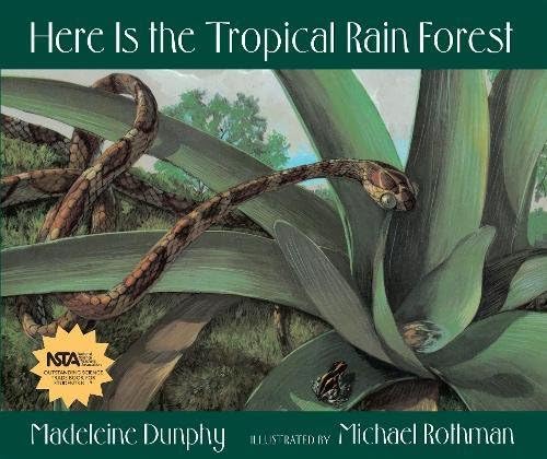 Here Is The Tropical Rain Forest Web Of Life 1 Dunphy Madeleine Rothman Michael Amazon Com Books