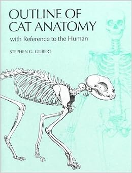 Outline of Cat Anatomy with Reference to the Human Outline of Cat Anatomy with Reference to the Human