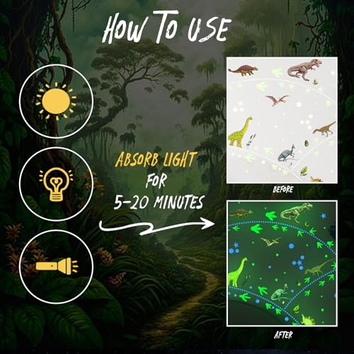 SNAIL GARDEN 668 Pcs Glow in The Dark Dinosaur Wall Stickers